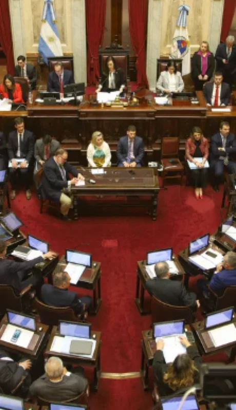 El Senado homenajeó al papa Francisco destacando su figura global.