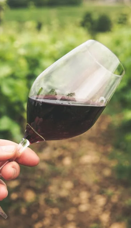 Los lotes disponibles incluyen vinos de alta gama.