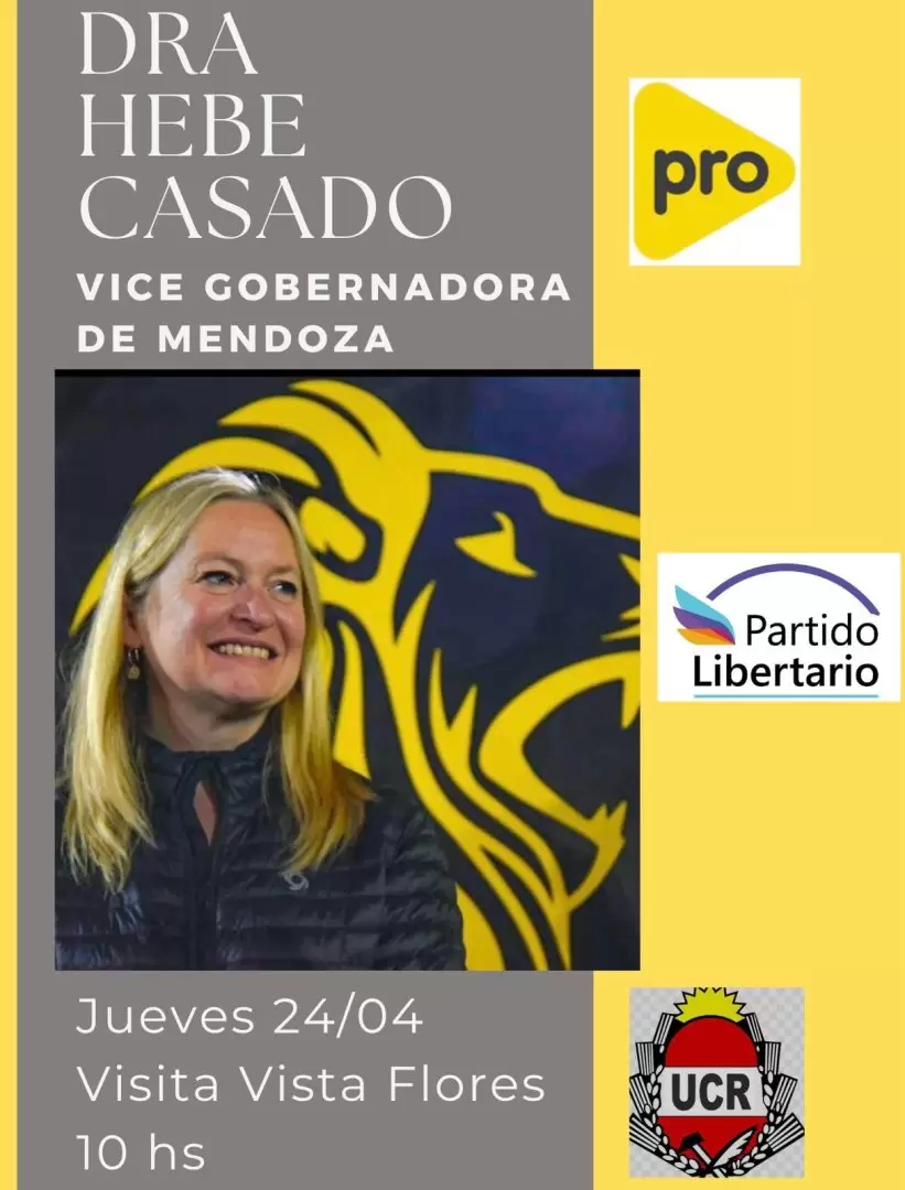 Flyer apócrifo del Partido Libertario.