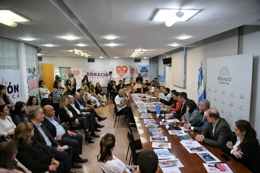 Elecciones 2025: Elegí Donar