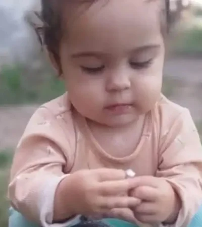 Delfina Hecker, de 2 años, desapareció en medio del temporal en Bahía Blanca.