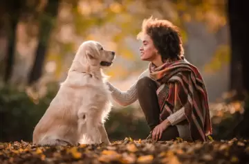 ¿Cuándo podremos hablar con los animales? La IA ya trabaja en traducir sus sonidos