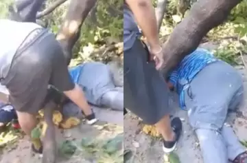 Conmoción en San Martin: murió aplastado por un viejo árbol
