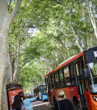 Transporte en Mendoza: el pasaje no bajará pese a la reducción de la nafta