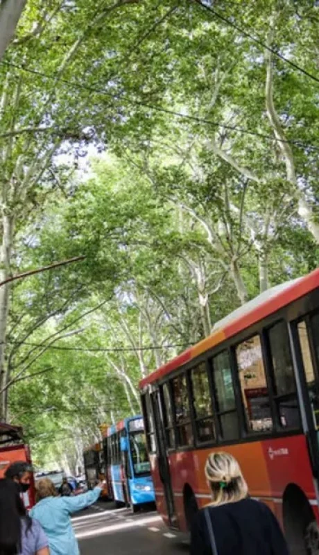 Transporte en Mendoza: el pasaje no bajará pese a la reducción de la nafta