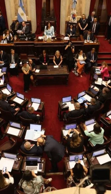 Los senadores cobrarán más de 9 millones, superando 25 jubilaciones mínimas