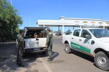 Crueldad animal: Gendarmería rescató a 21 perros y dos gallos