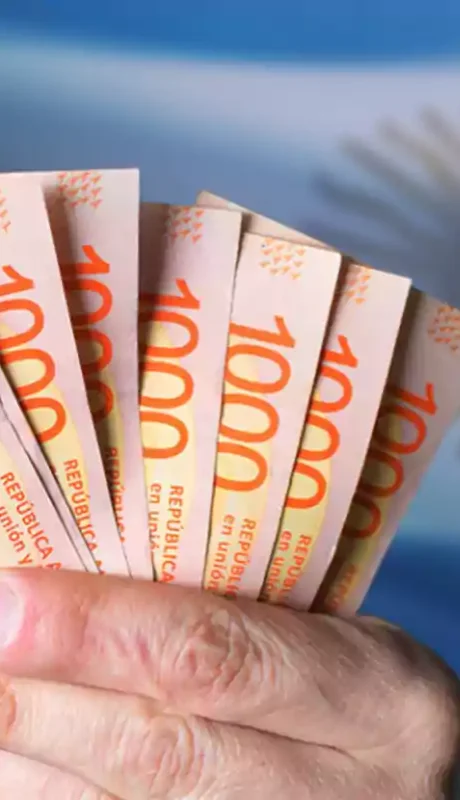 Pesos argentinos.