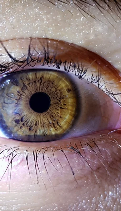 La existencia de Olo redefine lo que entendemos por ver y por color.