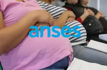 ANSES: cuándo se paga la Asignación por Embarazo en mayo 2025