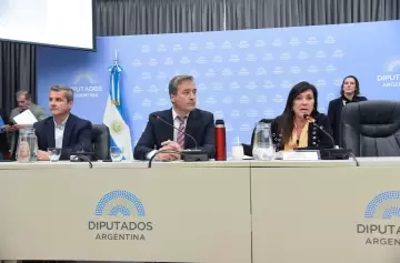 Diputados libertarios y del PRO buscan apurar la ley para juzgar desde los 14 años