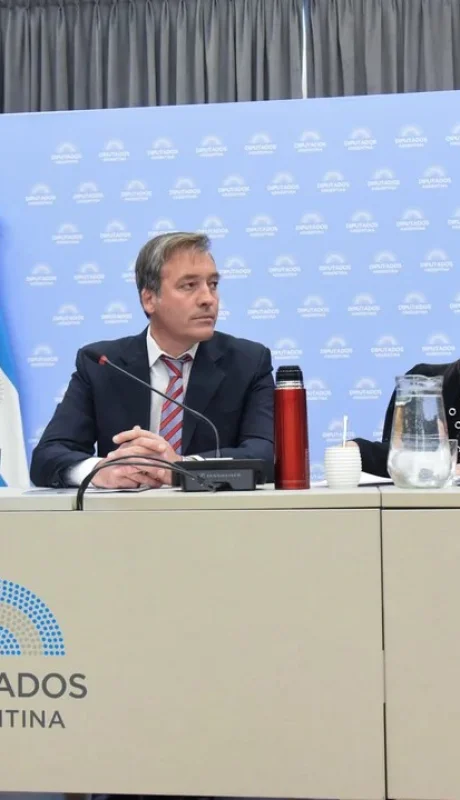 Diputados libertarios y del PRO buscan apurar la ley para juzgar desde los 14 años