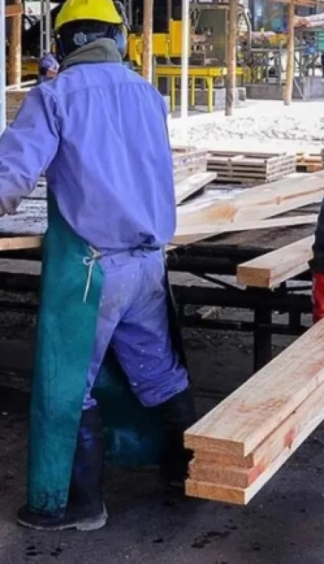 La reforma laboral requiere un cambio sustancial en lo impositivo, previsional y sindical.