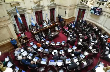 Ficha Limpia: los detalles en la cuenta regresiva para su aprobación o no