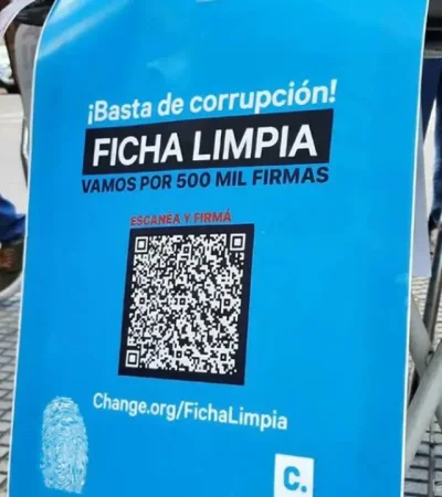 Ficha Limpia: el Gobierno ya da por hecha la ley en el Senado