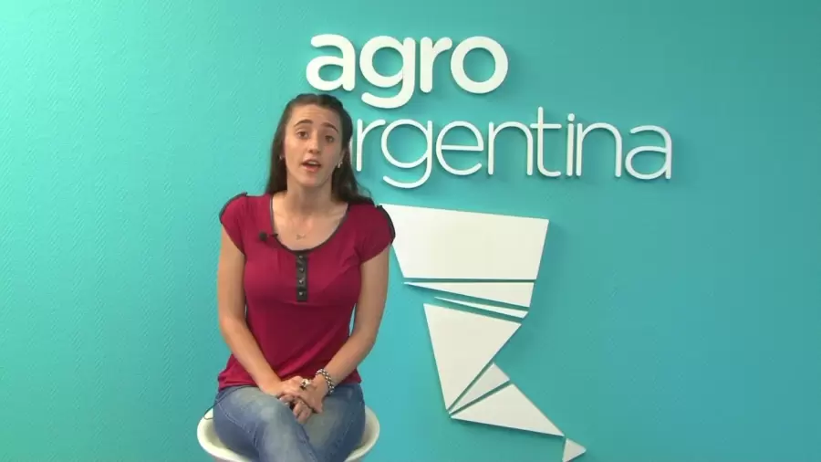 Nicolle Pisani Claro