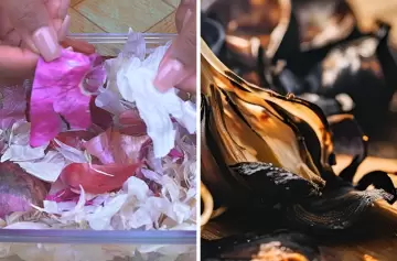 Así funciona el secreto ancestral de quemar cáscaras de ajo para atraer abundancia