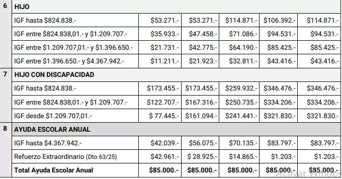 Solo SUAF por discapacidad tiene tres tramos, en lugar de cuatro