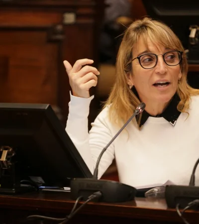 Diputada mandato cumplido María José Sanz. (Foto: Daniel Gallardo / Ciudadano News)