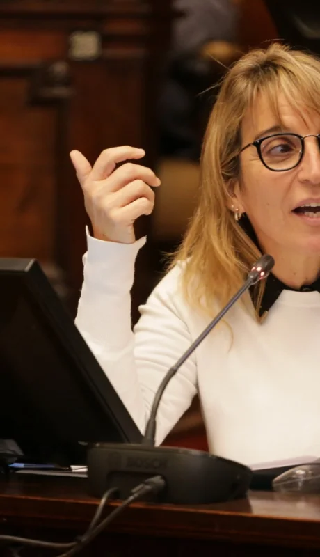 Diputada mandato cumplido María José Sanz. (Foto: Daniel Gallardo / Ciudadano News)