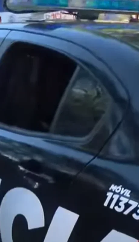 El móvil policial en el que trasladaban al hombre, con la ventanilla rota. (Foto: Noticias Argentinas)