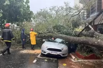 Violento temporal en Misiones dejó decenas de familias afectadas y heridos
