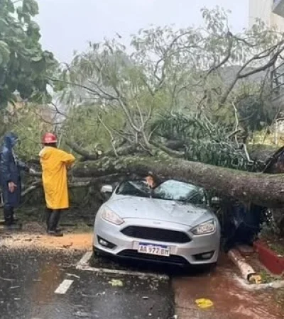 Violento temporal azotó Misiones/ Fuente: Web