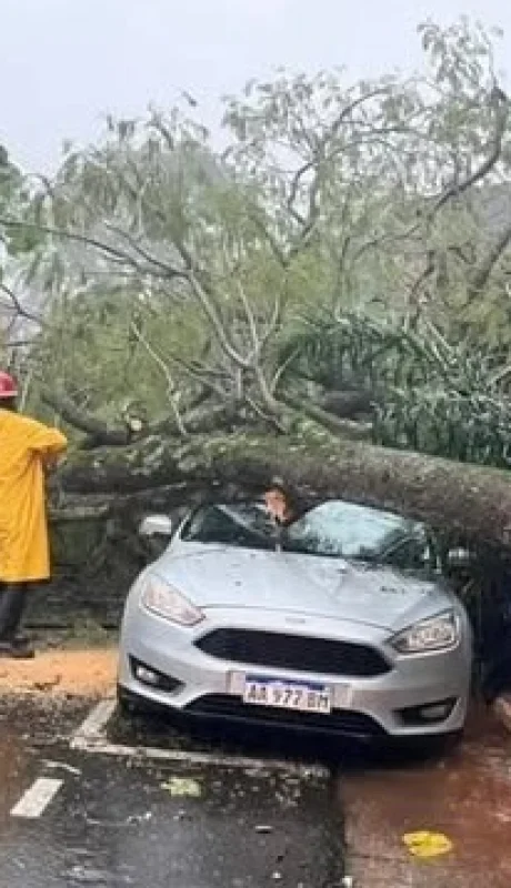 Violento temporal azotó Misiones/ Fuente: Web