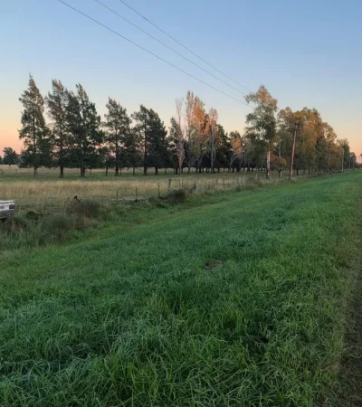 El hecho ocurrió en la Ruta 2