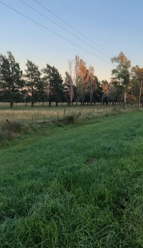 El hecho ocurrió en la Ruta 2