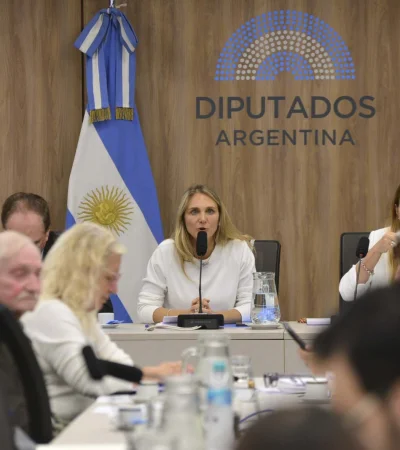 La reunión será liderada por la presidenta de la comisión, Gabriela Brouwer (UCR), y el titular de presupuesto, José Luis Espert.