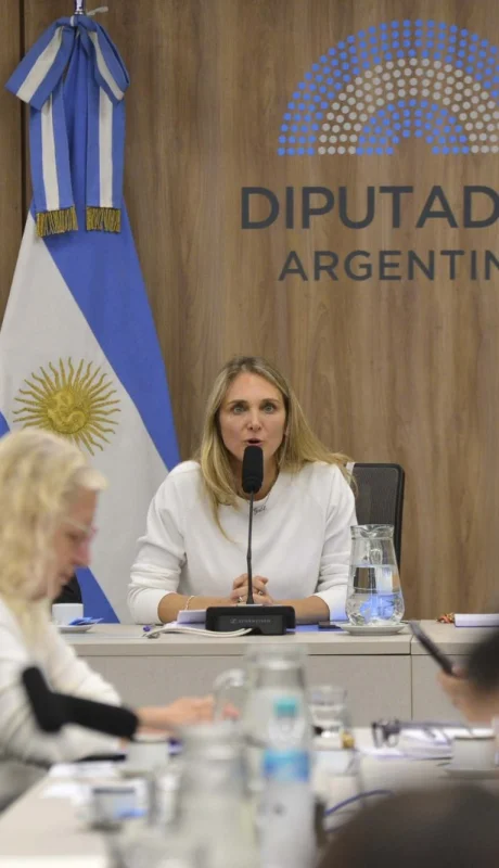 La reunión será liderada por la presidenta de la comisión, Gabriela Brouwer (UCR), y el titular de presupuesto, José Luis Espert.