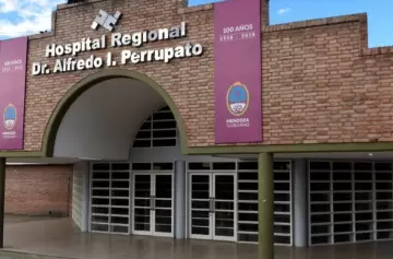 Mendoza: un nene y su mamá fueron brutalmente atacados por un pitbull