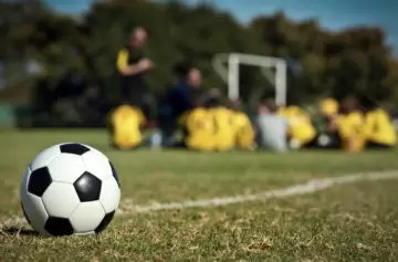 Pasión, táctica y liderazgo: homenaje a los técnicos en su día