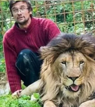 Criaba de manera ilegal a un león en su casa.