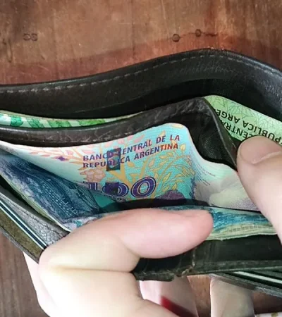 Llegar a fin de mes         /