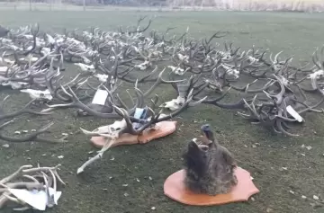 Impresionante operativo sin precedentes contra el abigeato y la caza furtiva