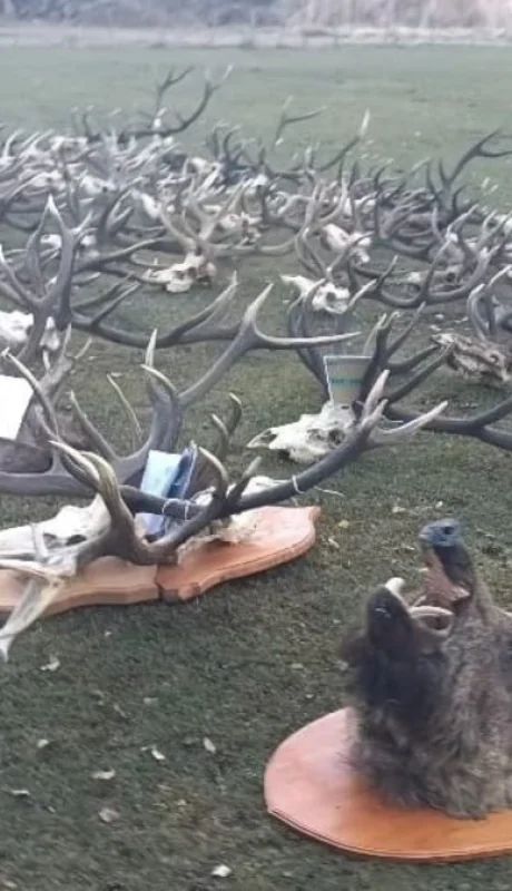 Parte de las piezas incautadas por las fuerzas policiales. (Foto: web)