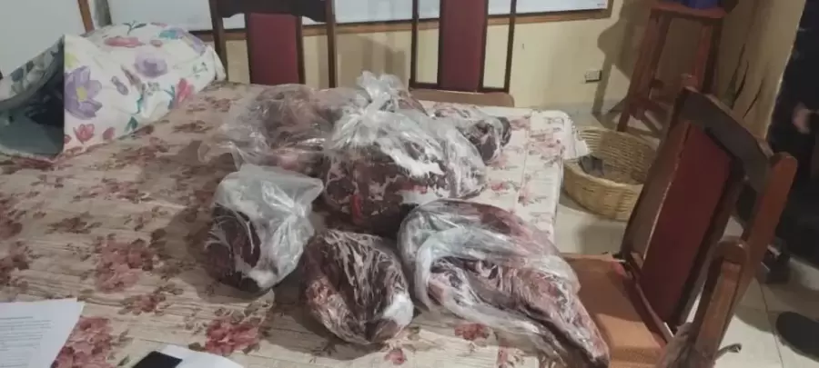 Carne de ciervo y jabalí