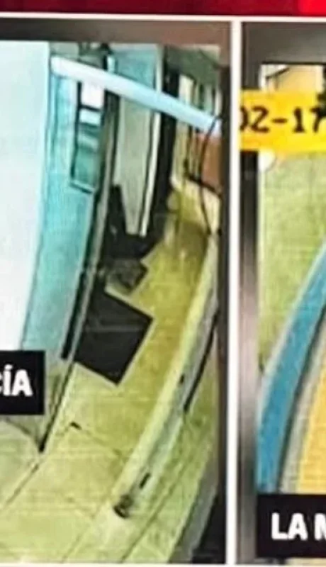 Familiares de Mauricio Novelli con bolsos con dinero.