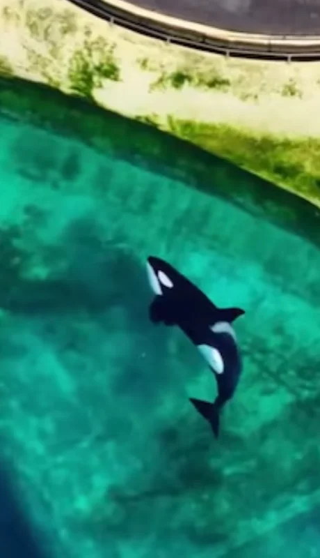 Las condiciones actuales del recinto fueron expuestas por el grupo activista TideBreakers.