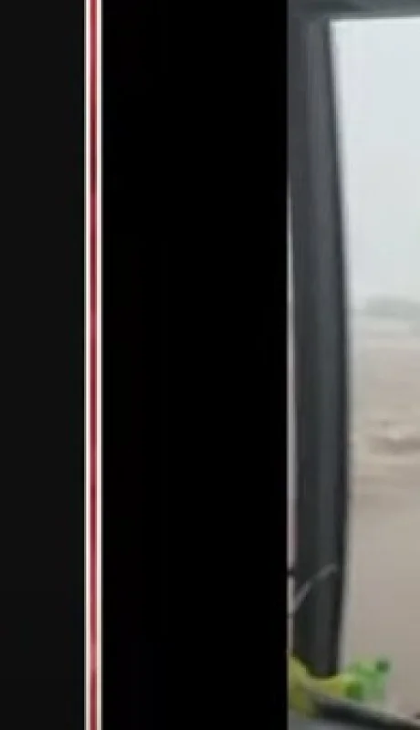 Un colectivo en el viajaban niños de entre 9 y 10 años de un colegio de Lanús que volvían de un viaje de estudios de Rosario. Fuente: X