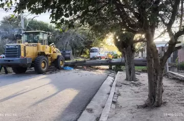 Un motociclista murió aplastado por un árbol en medio del temporal en Córdoba