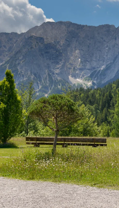 Joe Biden y su estado de salud.