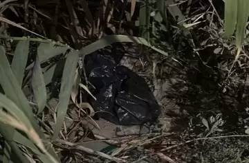 Encontraron a una beba muerta dentro de una bolsa de basura en un cañaveral