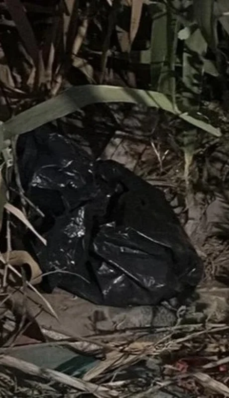 Hallaron el cuerpo de una bebé dentro de una bolsa de residuos en medio de un cañaveral. Fuente: Diario Huarpe de San Juan