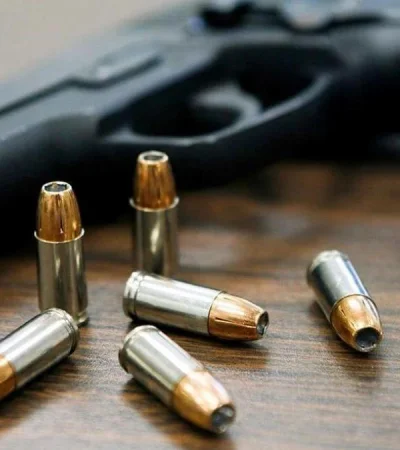 Tenencia legal de armas.