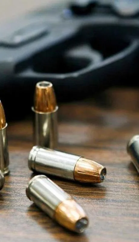 Tenencia legal de armas.