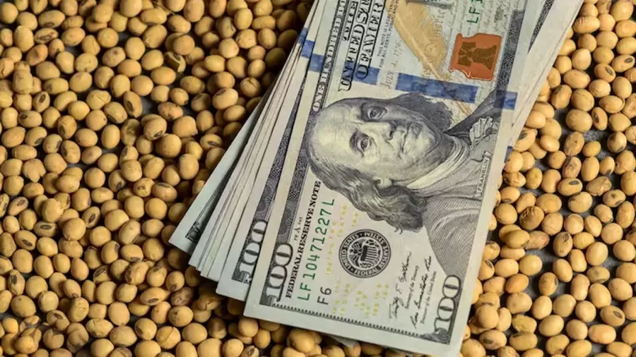 Dólares de la exportación