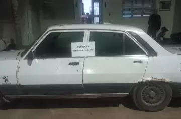 ¡Insólito! Iban en un Peugeot 504 sin luces ni papeles... ¡con ocho terneros en el baúl!